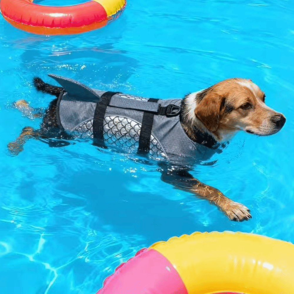 Life Jacket Buoyancy - 強力な浮力犬用ライフジャケット光沢のある鱗状のシャークフィンスタイル犬用水着速乾性調節可能なペット用救命胴衣