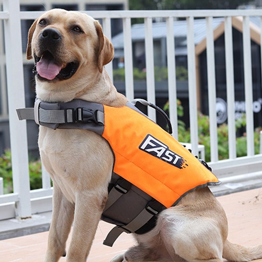 調節可能なペット水泳ライフジャケット反射超浮力子犬水着ポリエ - Life Jacket Buoyancy のレビューと価格